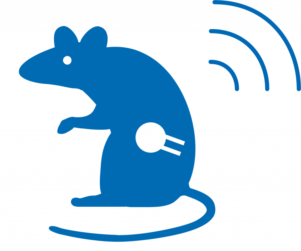 Implanted telemetry-rat