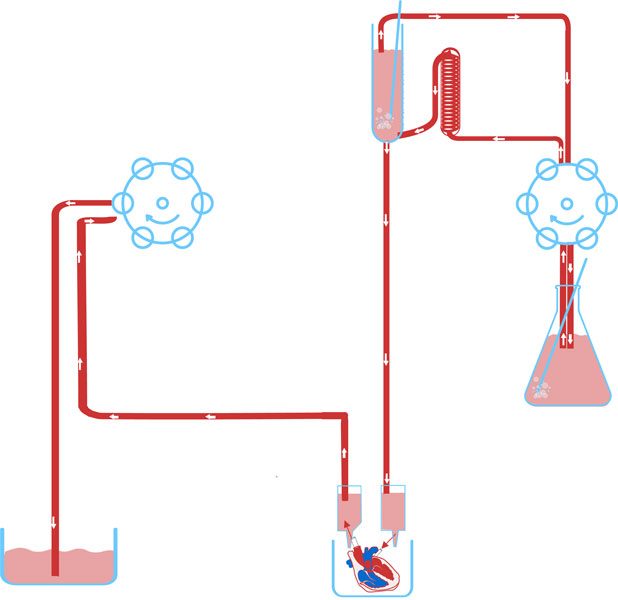 Working Heart perfusion mode