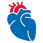Vascular-biology