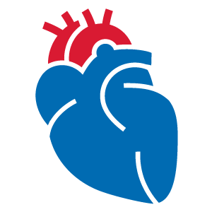 Vascular-biology