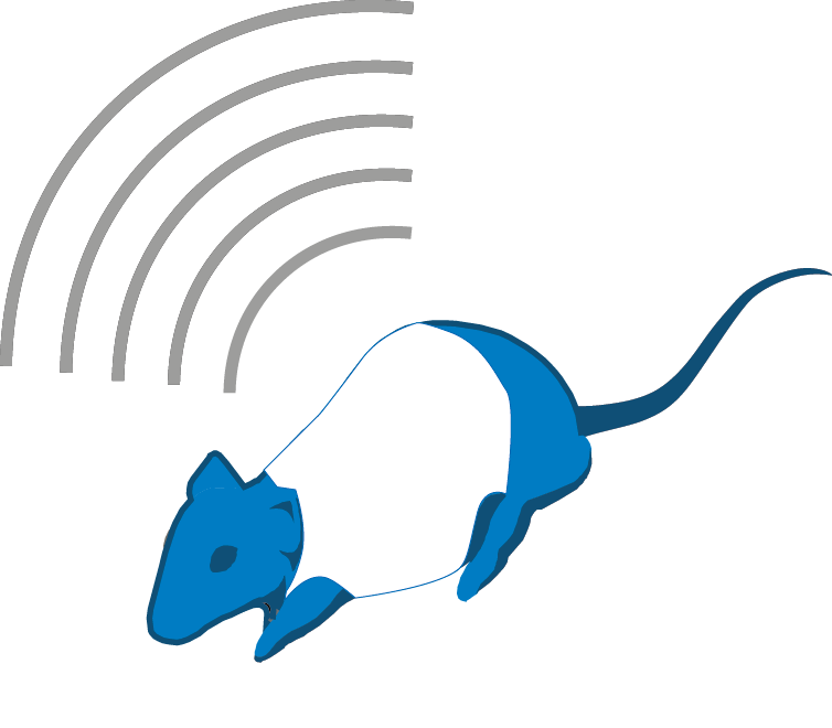 rat avec jacket