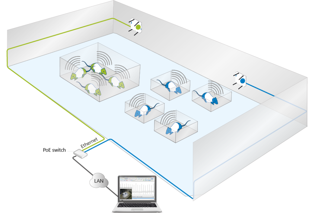 Jacket solution for rat