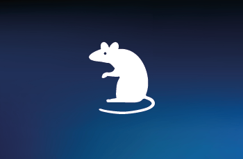 Use of the rat in cardiovascular screening
