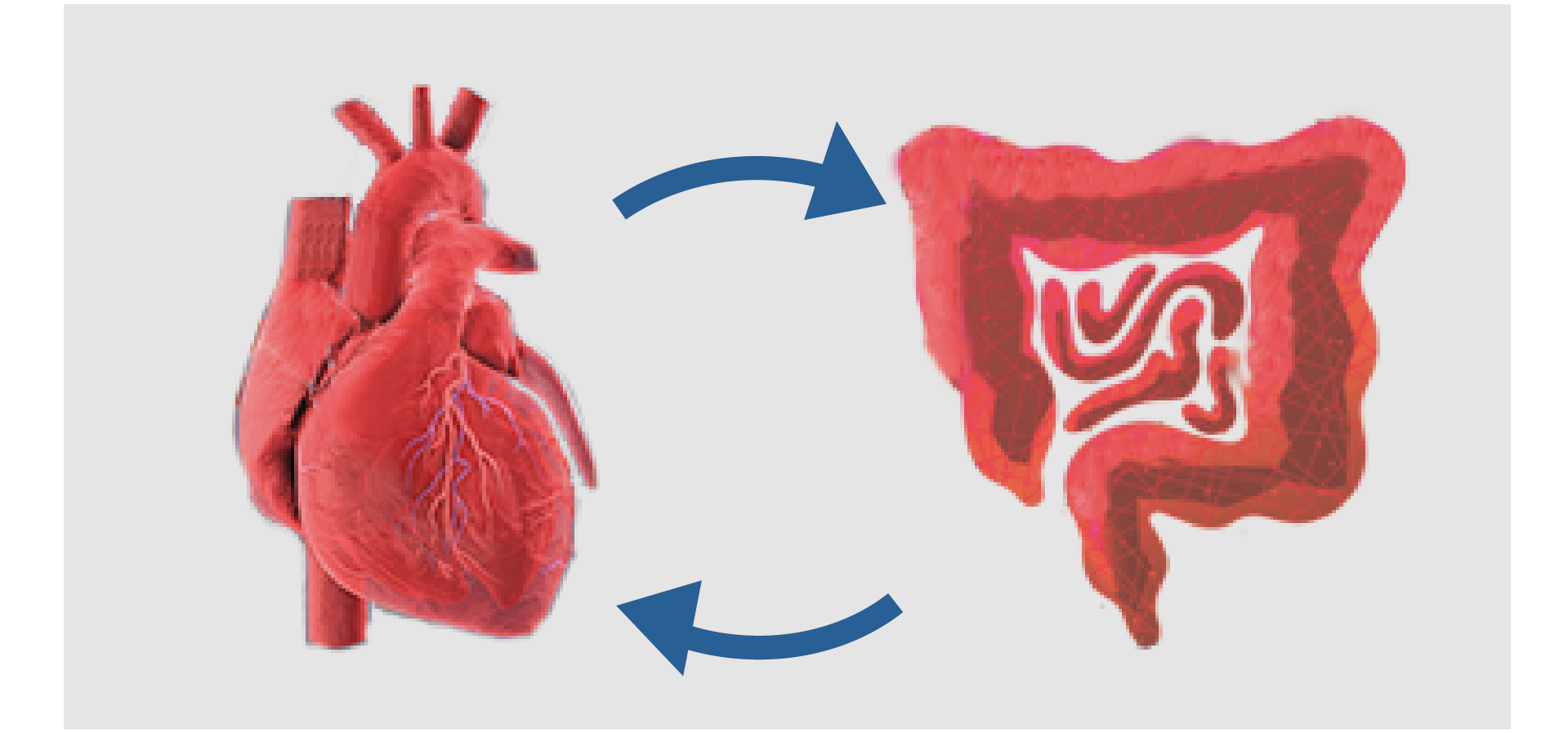 Gut-heart-axis